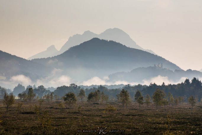 How to Photograph fog: fog at 8 AM.