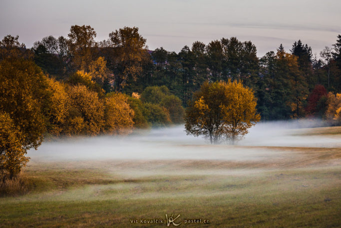 How to Photograph Fog: a meadow in the fog.