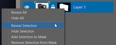 How to Crop Product Photos: Reveal Selection.