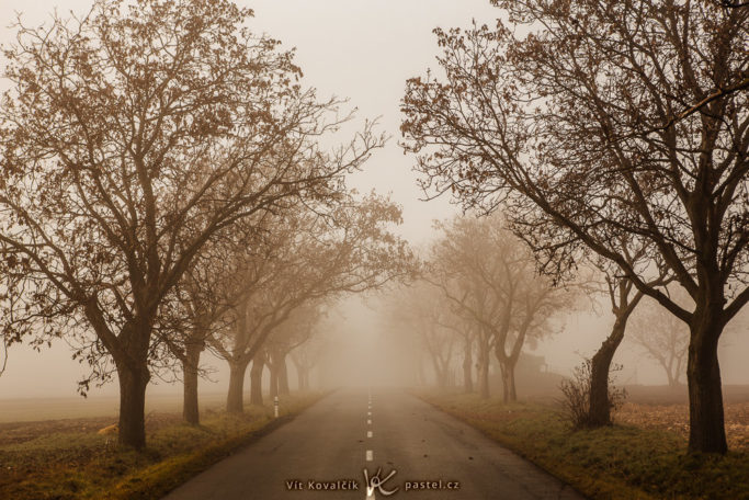 How to Photograph Fog: a road in a fog.