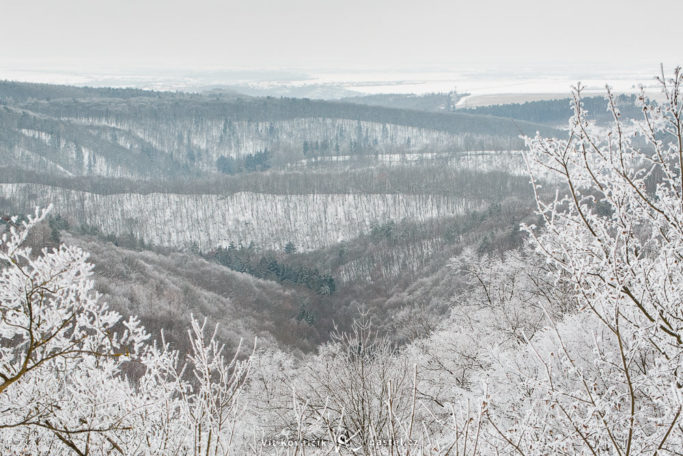 The Magicl World of Glaze Ice: a valley framed by glaze-covered branches.