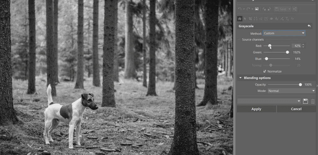 How Do You Make Pictures Black And White? – XSXIUJ