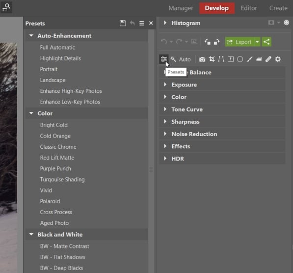 How to Use Presets for Editing Photos: Presets in the Develop module in Zoner Studio.