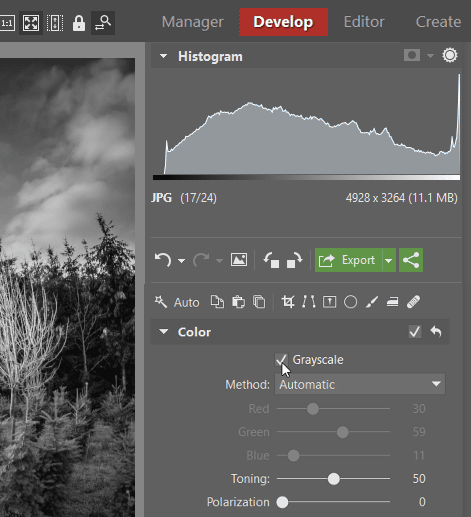 How to create black and white photos: Grayscale option in the Develop module in Zoner Studio.