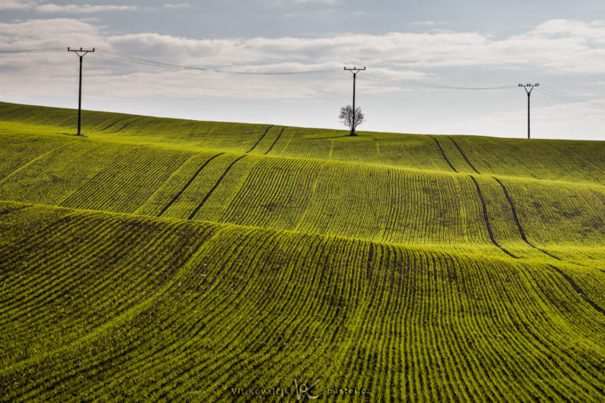 Benefits of Telephoto Lenses for Landscapes: poles above fields as a part of the composition.