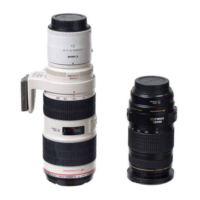 When to Upgrade Your Photo Equipment: telephoto lenses.