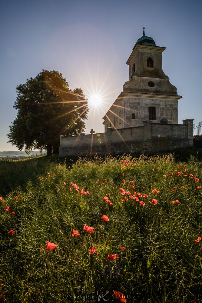 Simple Exercise to Improve a Photo Composition: The vertical variant from closer up.