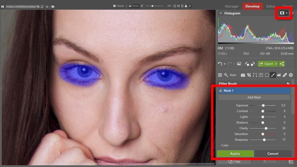 Learn to Edit Portraits and Discover the 5 Most Common Portrait Photo Problems- brush filter