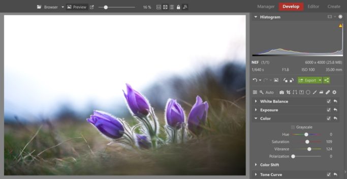 Bring Flower Photos to Life: photo with increased saturation and vibrance.