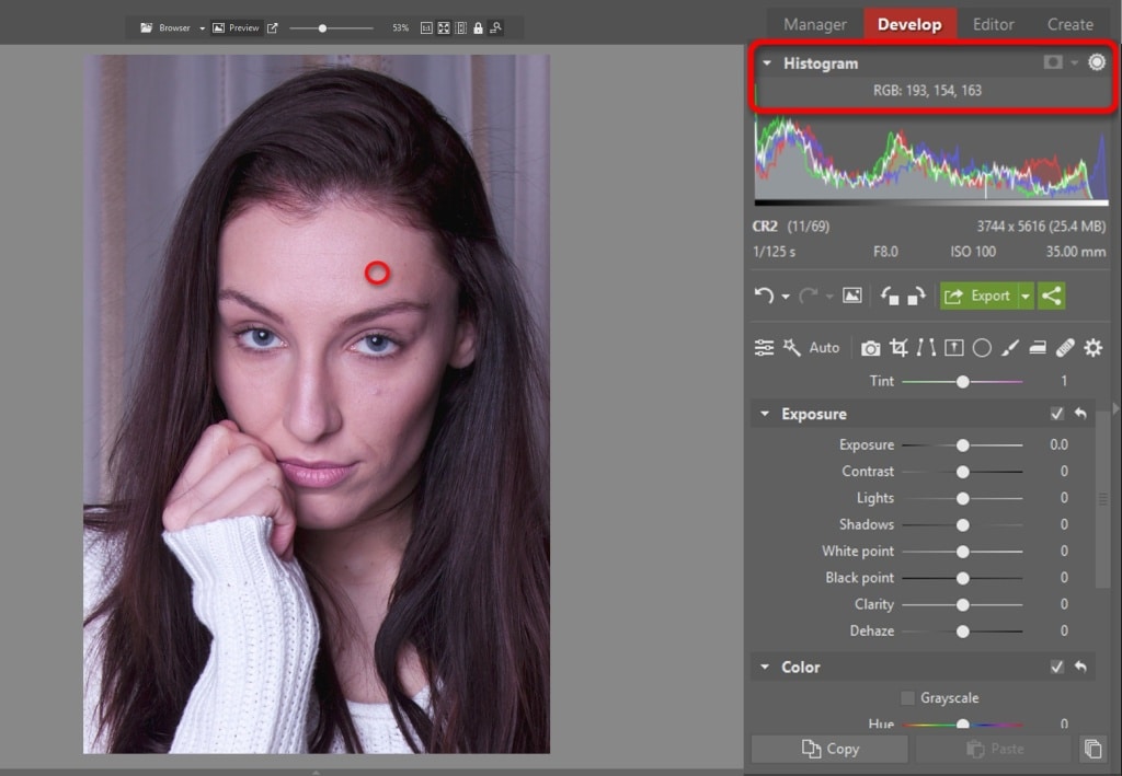 Learn to Edit Portraits and Discover the 5 Most Common Portrait Photo Problems- histogram