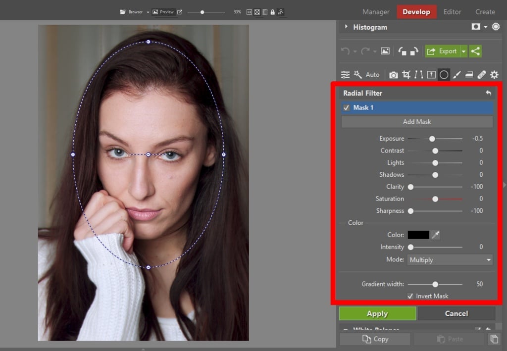 Learn to Edit Portraits and Discover the 5 Most Common Portrait Photo Problems- radial filter