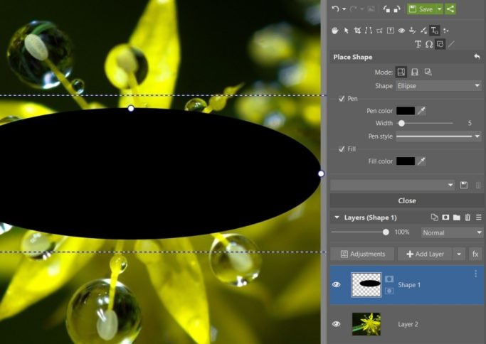 creating a flower crop - first ellipse.