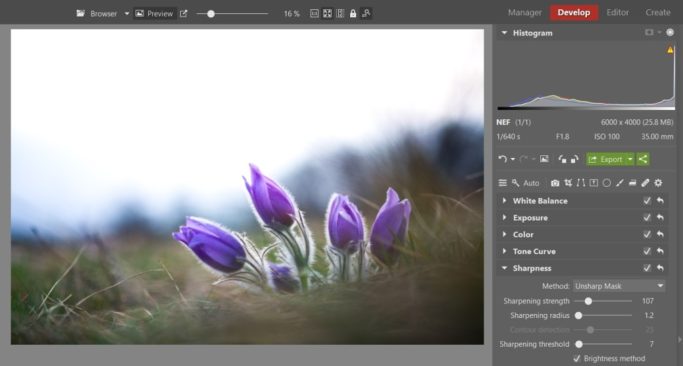 Bring Flower Photos to Life: sharpened pasqueflower.