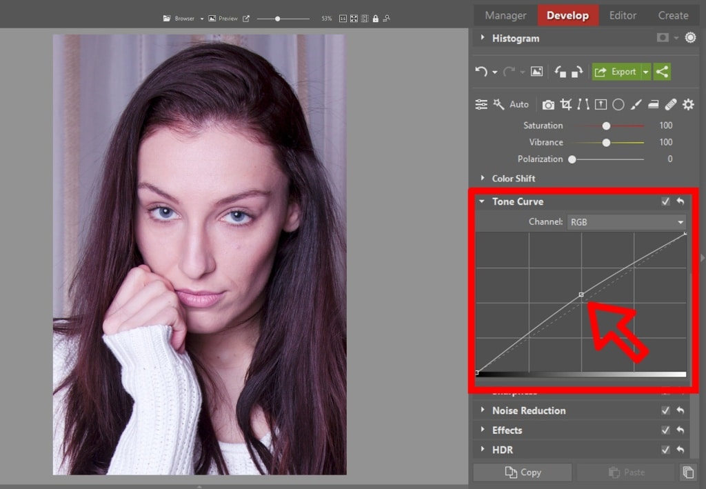 Learn to Edit Portraits and Discover the 5 Most Common Portrait Photo Problems- tone curve