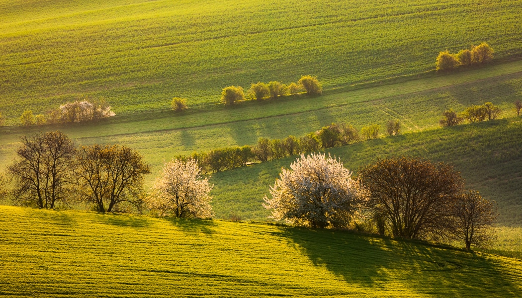 Landscape Photography at Every Hour—Part I: Landscapes in the Morning, Evening, and Night