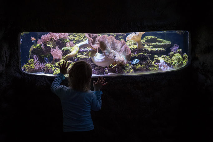 Photographing kids against the light: child in front of the aquarium.