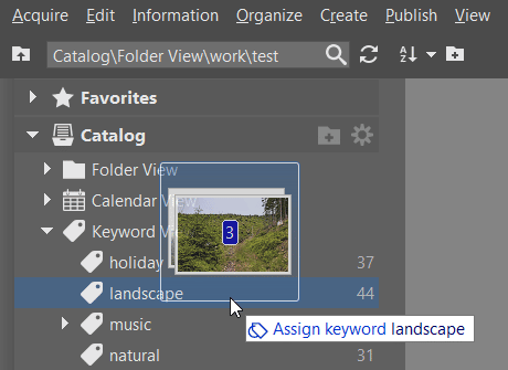 Sort your pictures easily with keywords: dragging pictures to a keyword.
