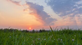 Enhancing Landscape Photos? Local Edits Can Help