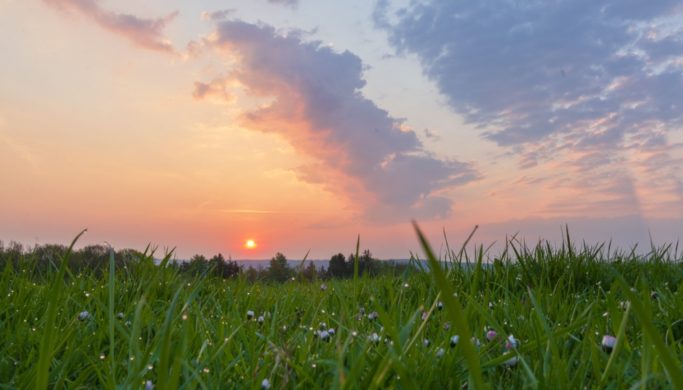 Enhancing Landscape Photos? Local Edits Can Help