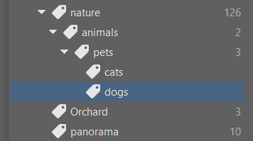 Sort your pictures easily with keywords: keywords' structure.