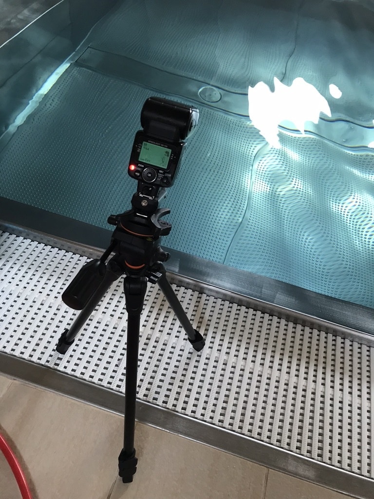 Underwater Photography - flash
