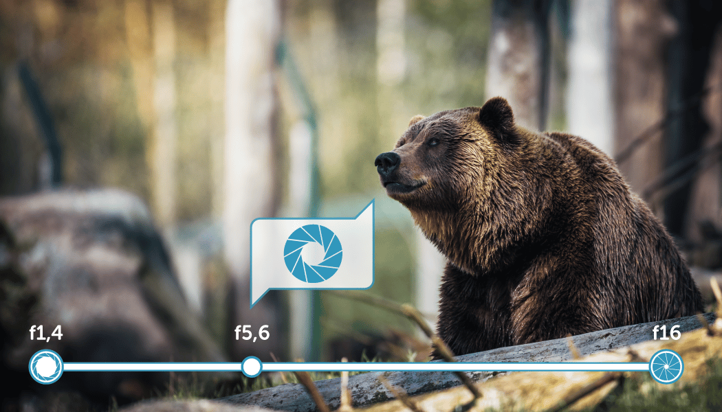 [Infographic] What Aperture to Choose for Your Photography