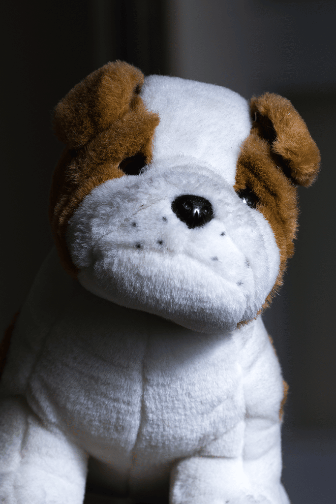 Photographing portraits in a combined light: a stuffed animal lighted by a flash.