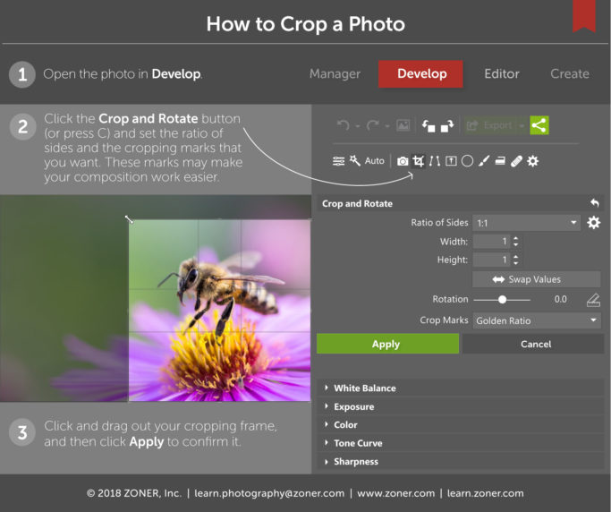 how to crop photos - infographic