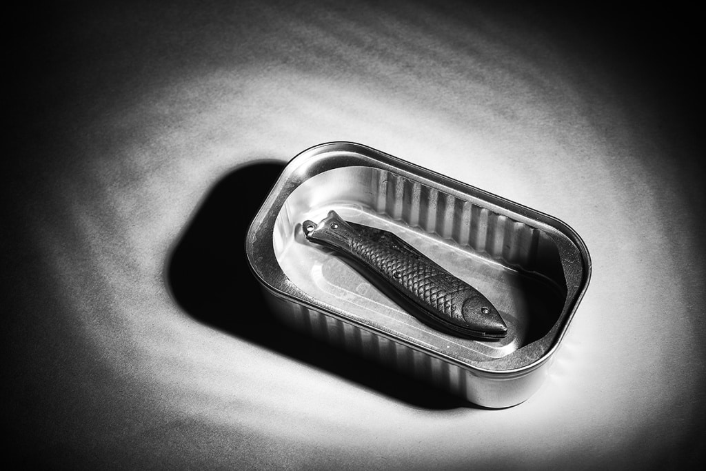 How to Photograph Still Lifes - fish