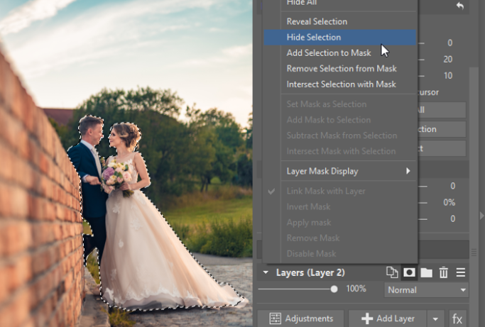 3 Tips for Suppressing Photos’ Backgrounds: Hide Selection mask.