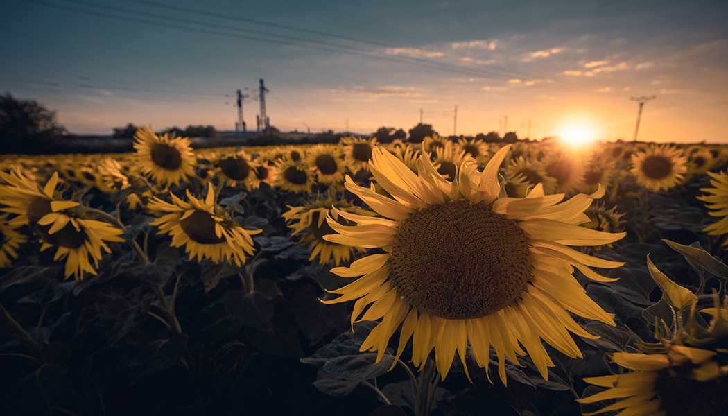 How to Retouch Away Wires, Trash, and More in Your Photos