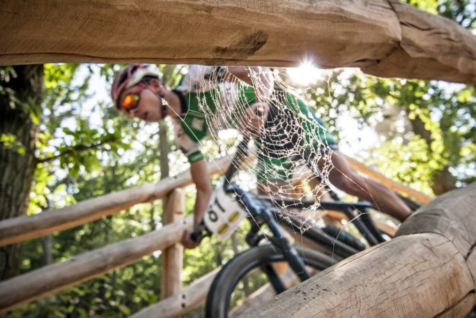 How to photograph sport: composition with a spiderweb.