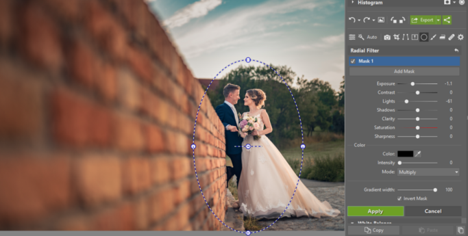 3 Tips for Suppressing Photos’ Backgrounds: Radial Filter.