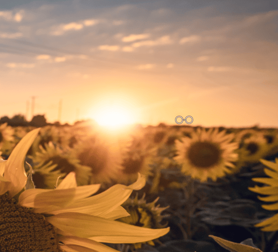 How to retouch away unwanted objects: shifting the source.