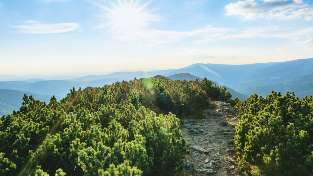 Diffraction: What It Is and How to Avoid It | Learn Photography by ...