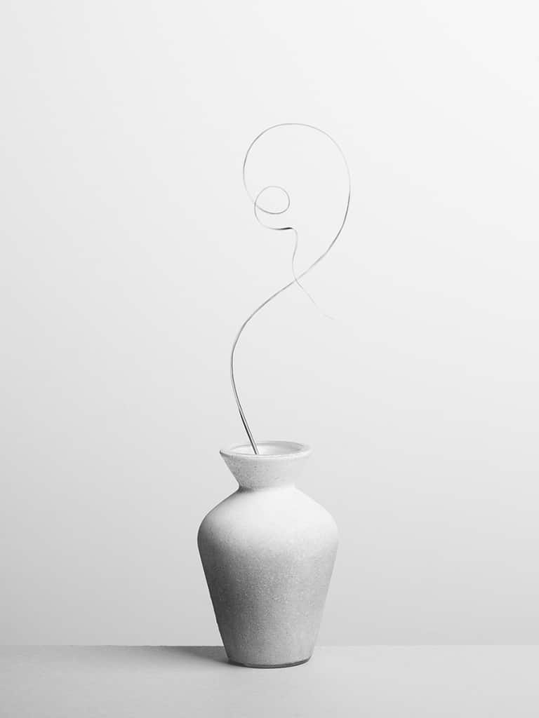 How to Photograph Still Lifes - vase with grass