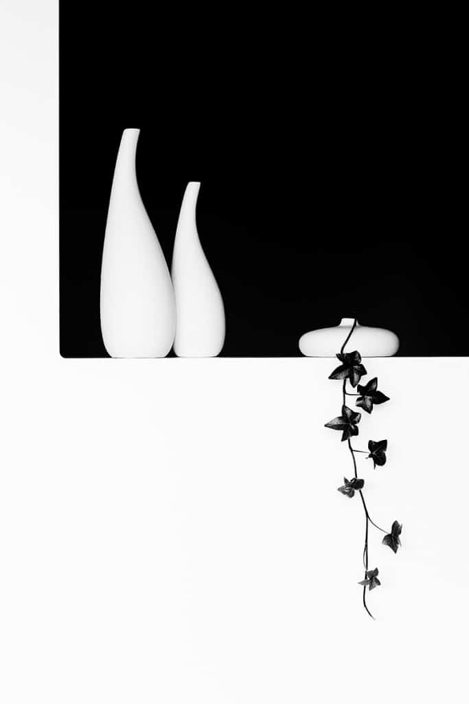 How to Photograph Still Lifes - vases with ivy