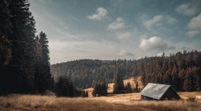 Better Composition Through Cropping: 4 Ways to Improve a Photo With a Crop