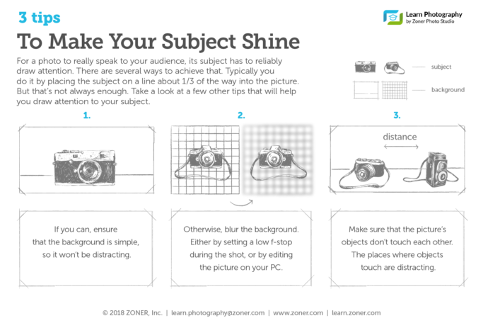 infographic - draw attention to the main subject