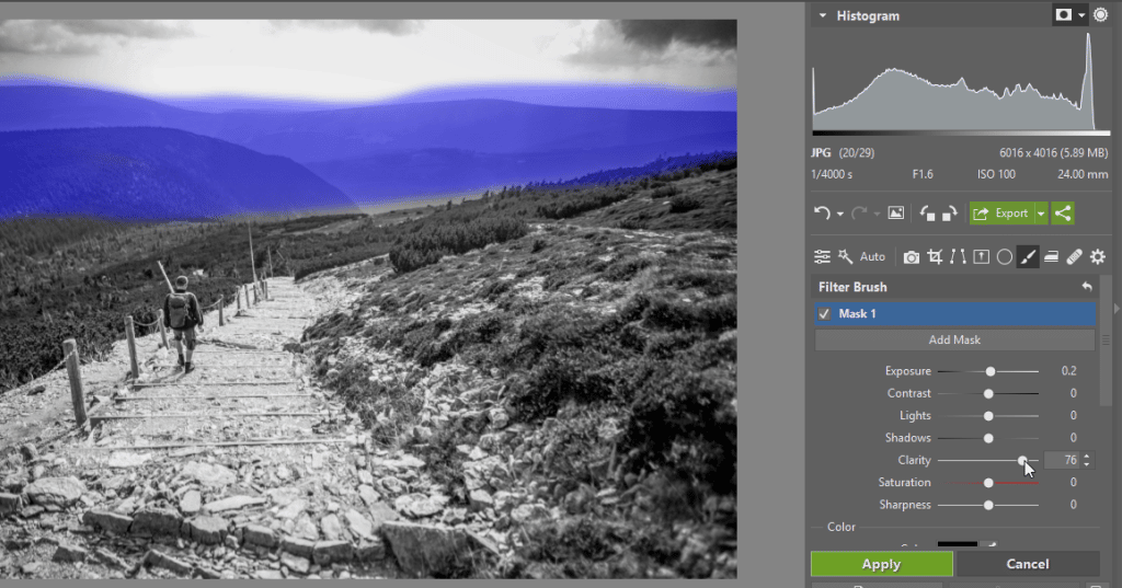 Black and White Landscapes: Check - brush clarity