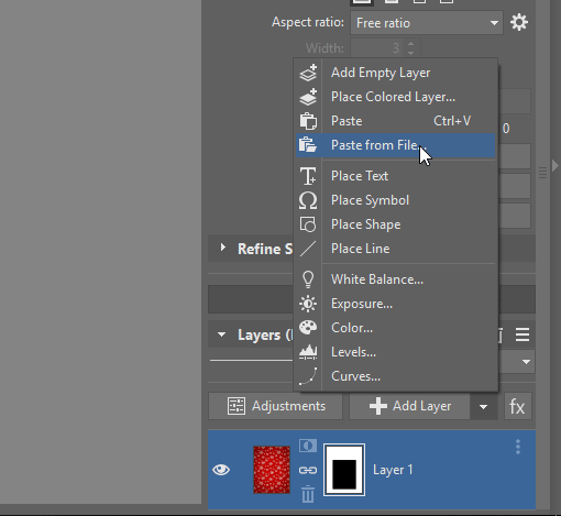 paste picture file