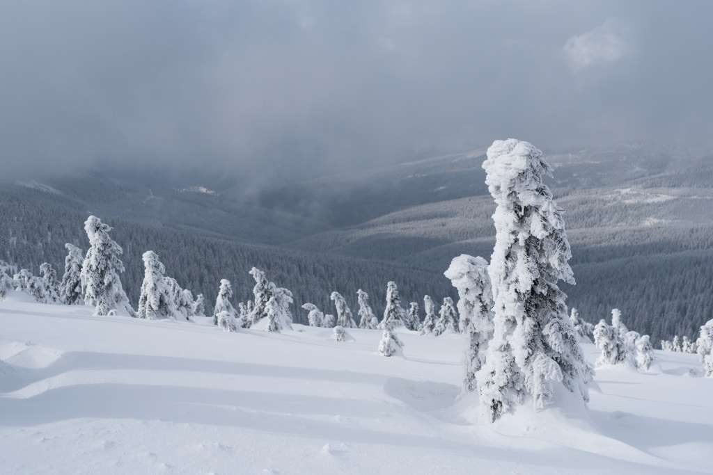 Add Pizazz to Your Winter Photos - original