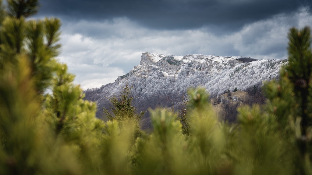 Winter Outdoor Photography - Klak