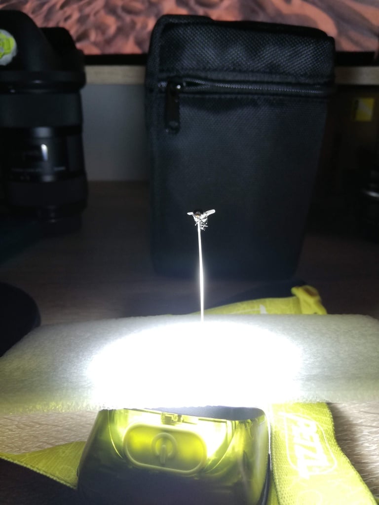 You Can Do Macro at Home - lighting