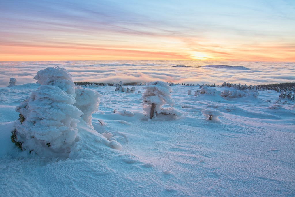 Winter Outdoor Photography - frost inversion