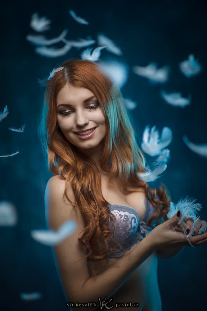 Studio Photography - feathers