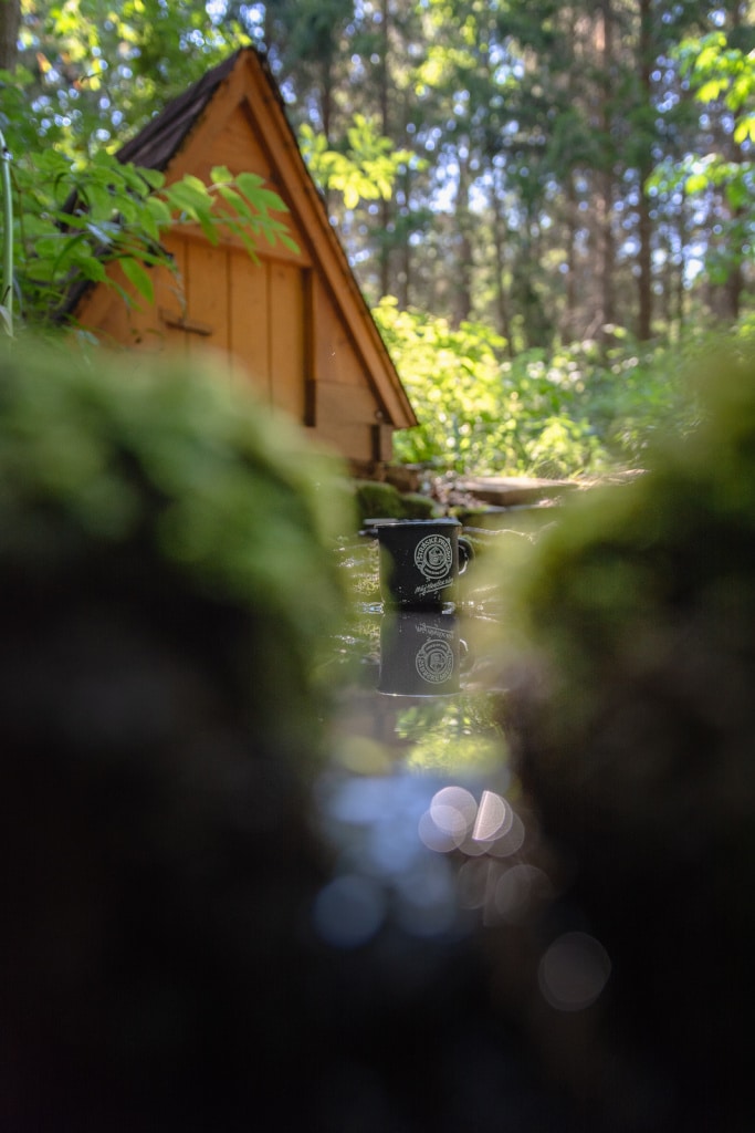 A New Angle on Landscape Photography - spring