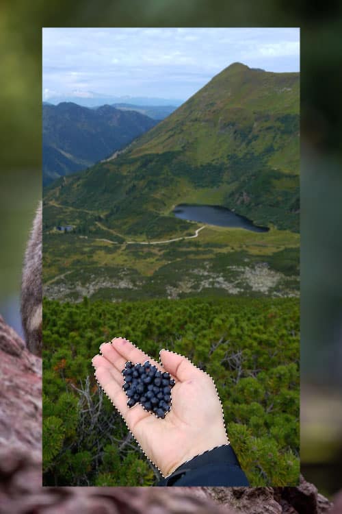 How Do You Create a Photo Collage - hand selection