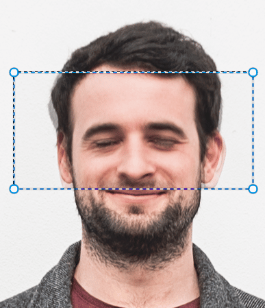 layer has an opacity of 50%
