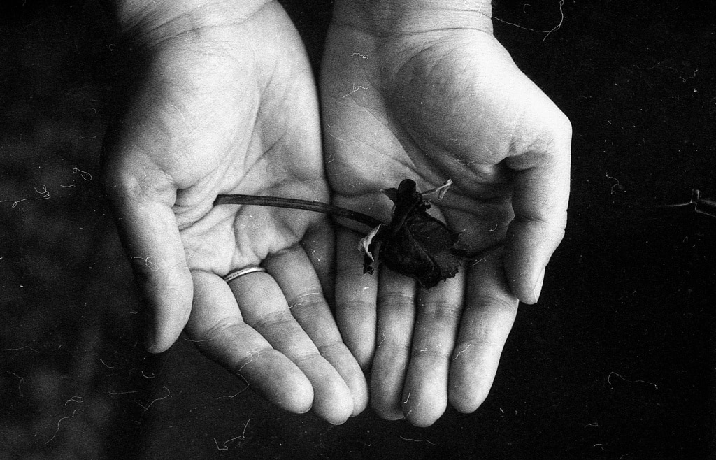 How Do You Get Started With Film Photography - hands